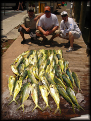 Sailfish Fishing Fort Lauderdale